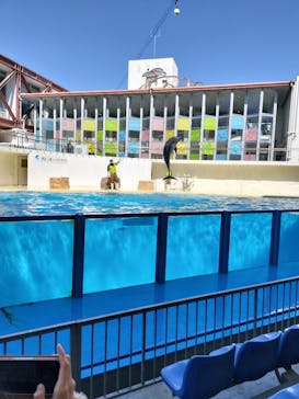 伊豆・三津シーパラダイスに投稿された画像（2024/3/4）