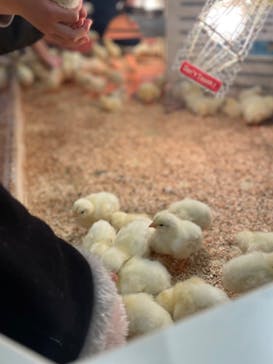 アニタッチみなとみらいに投稿された画像（2024/3/4）