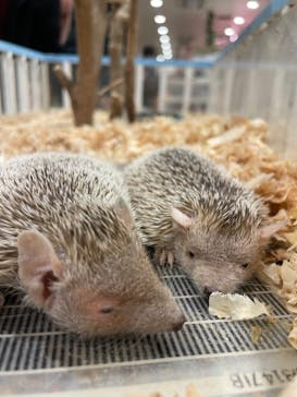 アニタッチみなとみらいに投稿された画像（2024/3/4）