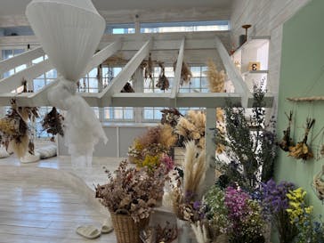 A-Studio代官山に投稿された画像（2024/3/4）