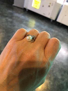 しながわ水族館に投稿された画像（2024/3/4）