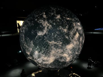 NIFREL（ニフレル）に投稿された画像（2024/3/4）