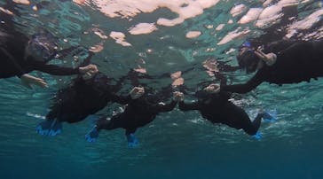 宮古島 ADVENTURE PiPi（ミヤコジマ アドベンチャー ピピ）に投稿された画像（2024/3/4）