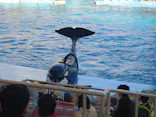 名古屋港水族館に投稿された画像（2024/3/5）