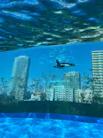 サンシャイン水族館に投稿された画像（2024/3/5）