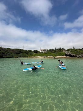 宮古島 ADVENTURE PiPi（ミヤコジマ アドベンチャー ピピ）に投稿された画像（2024/3/5）