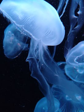 AOAO SAPPOROに投稿された画像（2024/3/5）