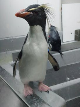 AOAO SAPPOROに投稿された画像（2024/3/5）