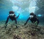 武藤潜水に投稿された画像（2024/3/5）