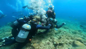 武藤潜水に投稿された画像（2024/3/5）