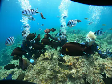 武藤潜水に投稿された画像（2024/3/5）