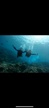 武藤潜水に投稿された画像（2024/3/5）