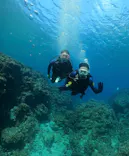 武藤潜水に投稿された画像（2024/3/5）