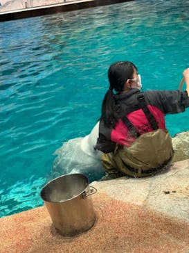 名古屋港水族館に投稿された画像（2024/3/5）