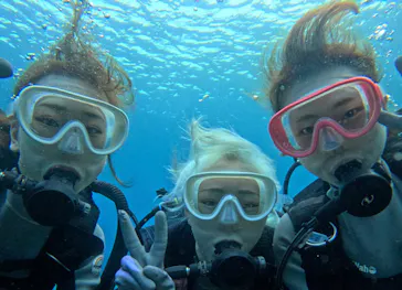 武藤潜水に投稿された画像（2024/3/5）