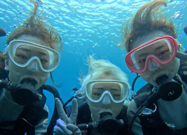 武藤潜水に投稿された画像（2024/3/5）