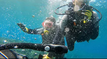 武藤潜水に投稿された画像（2024/3/5）