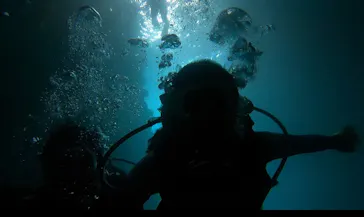 武藤潜水に投稿された画像（2024/3/5）