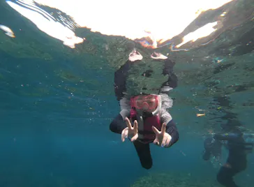 武藤潜水に投稿された画像（2024/3/5）