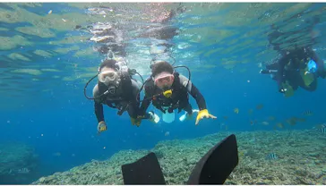 武藤潜水に投稿された画像（2024/3/5）