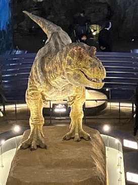 福井県立恐竜博物館に投稿された画像（2024/3/5）