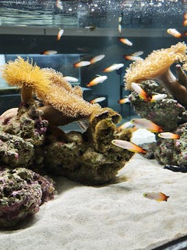 AOAO SAPPOROに投稿された画像（2024/3/5）