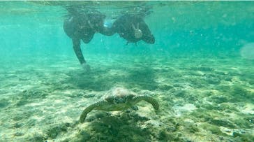 宮古島 ADVENTURE PiPi（ミヤコジマ アドベンチャー ピピ）に投稿された画像（2024/3/5）