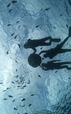 武藤潜水に投稿された画像（2024/3/5）