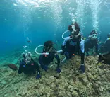 沖縄マリンサービス碧に投稿された画像（2024/3/5）