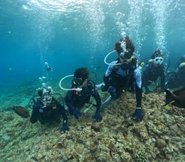 沖縄マリンサービス碧に投稿された画像（2024/3/5）