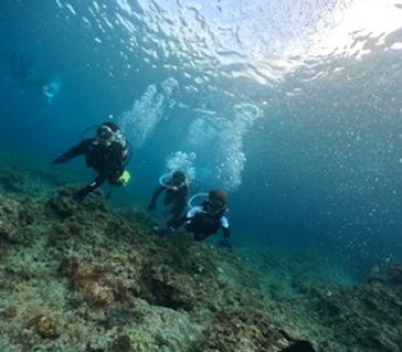 沖縄マリンサービス碧に投稿された画像（2024/3/5）