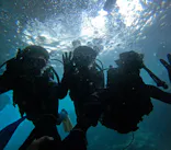 沖縄マリンサービス碧に投稿された画像（2024/3/5）