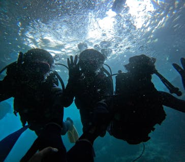 沖縄マリンサービス碧に投稿された画像（2024/3/5）