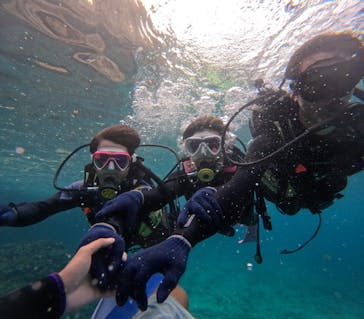 沖縄マリンサービス碧に投稿された画像（2024/3/5）