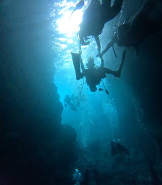 沖縄マリンサービス碧に投稿された画像（2024/3/5）