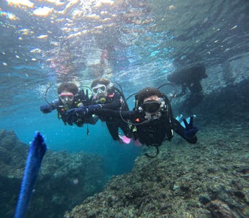 沖縄マリンサービス碧に投稿された画像（2024/3/5）