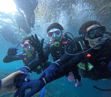 沖縄マリンサービス碧に投稿された画像（2024/3/5）