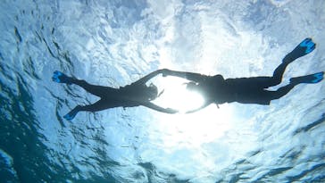 宮古島 ADVENTURE PiPi（ミヤコジマ アドベンチャー ピピ）に投稿された画像（2024/3/5）