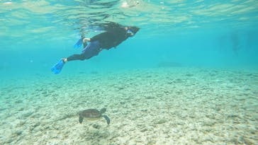 宮古島 ADVENTURE PiPi（ミヤコジマ アドベンチャー ピピ）に投稿された画像（2024/3/5）