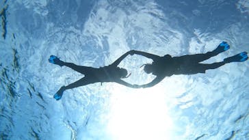 宮古島 ADVENTURE PiPi（ミヤコジマ アドベンチャー ピピ）に投稿された画像（2024/3/5）