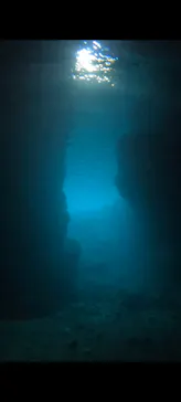 武藤潜水に投稿された画像（2024/3/5）