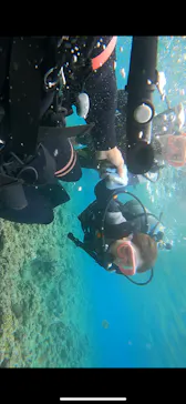 武藤潜水に投稿された画像（2024/3/5）