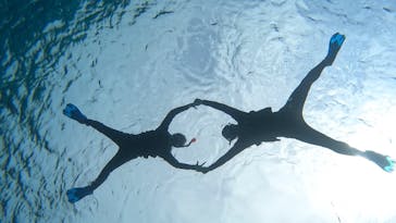 宮古島 ADVENTURE PiPi（ミヤコジマ アドベンチャー ピピ）に投稿された画像（2024/3/5）