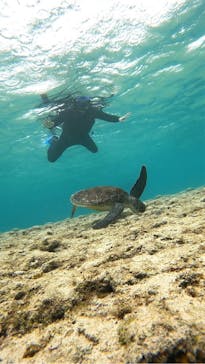 宮古島 ADVENTURE PiPi（ミヤコジマ アドベンチャー ピピ）に投稿された画像（2024/3/5）