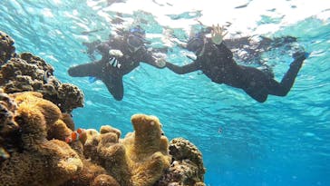 宮古島 ADVENTURE PiPi（ミヤコジマ アドベンチャー ピピ）に投稿された画像（2024/3/5）