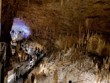 おきなわワールドに投稿された画像（2024/3/5）