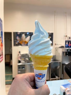 おきなわワールドに投稿された画像（2024/3/5）