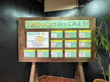 おきなわワールドに投稿された画像（2024/3/5）