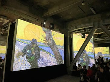 ゴッホ・アライブに投稿された画像（2024/3/5）