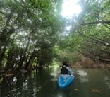 石垣島 ADVENTURE PiPi（イシガキジマアドベンチャーピピ）に投稿された画像（2024/3/5）